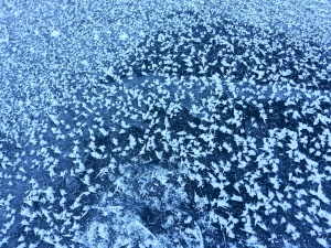 Frost pattern on the ice
