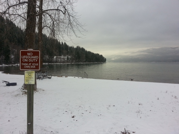 Just a typical winter day at State Park. Tess and I decided to forego the swimming.